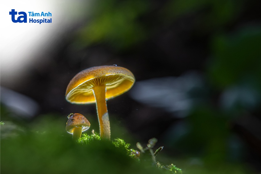 vệ sinh sau cắt bao quy đầu