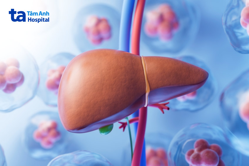 xét nghiệm chức năng gan