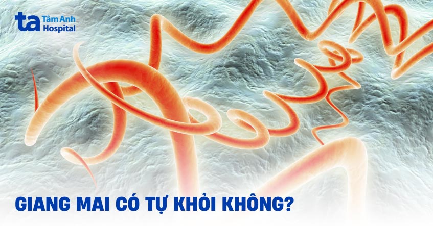 Bệnh giang mai có tự khỏi được không? Yếu tố ảnh hưởng