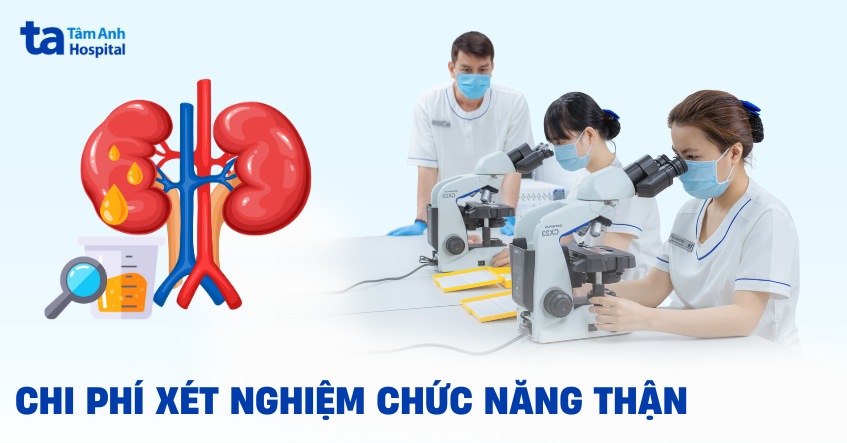Chi phí xét nghiệm chức năng thận bao nhiêu tiền? Giá ra sao?