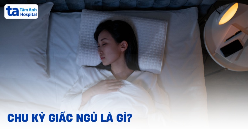Chu kỳ giấc ngủ là gì? Chu kỳ ngủ diễn ra như thế nào?