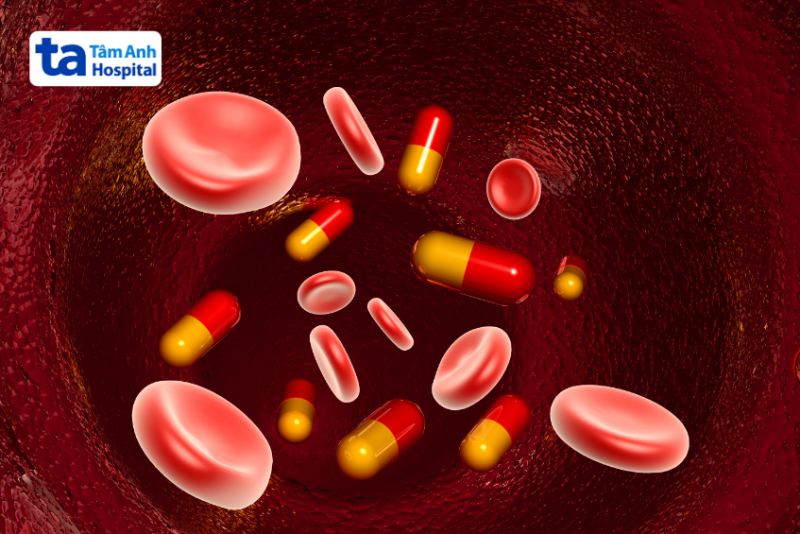 Cơ chế hoạt động của thuốc kháng đông