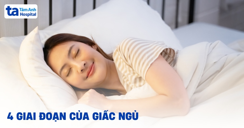 4 giai đoạn của giấc ngủ bạn nên biết để hiểu về sinh lý giấc ngủ