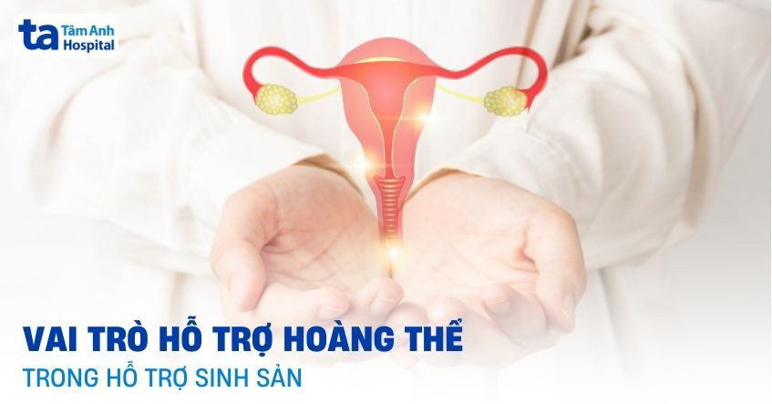 Hỗ trợ hoàng thể là gì? Vai trò và ý nghĩa trong hỗ trợ sinh sản