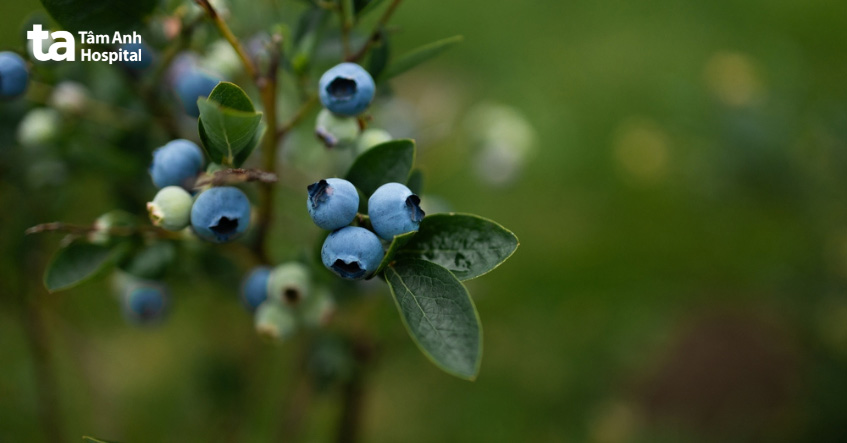 màu sắc của thực phẩm cũng làm ảnh hưởng đến màu nước tiểu
