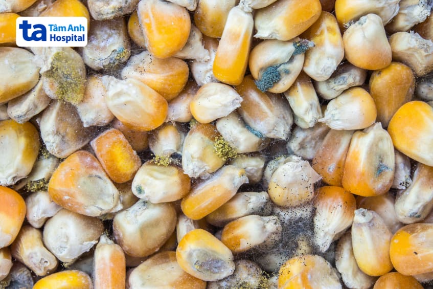 Men gan cao tránh ăn thức ăn độc hại, không đảm bảo vệ sinh