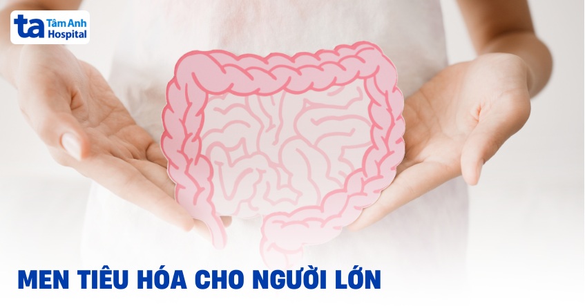 Men tiêu hóa cho người lớn có tác dụng gì? Loại nào tốt, cách dùng