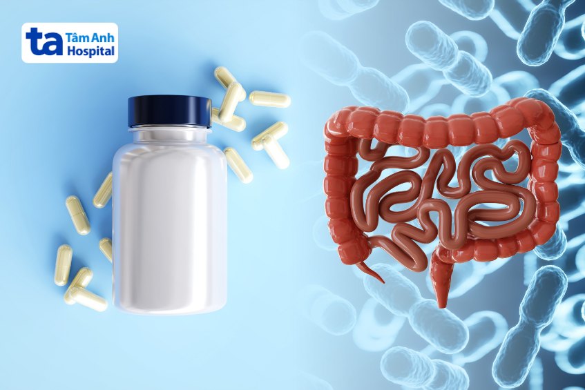 men tiêu hoá người lớn