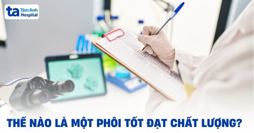 Thế nào là phôi tốt? Ưu điểm và tiêu chí đánh giá trong IVF