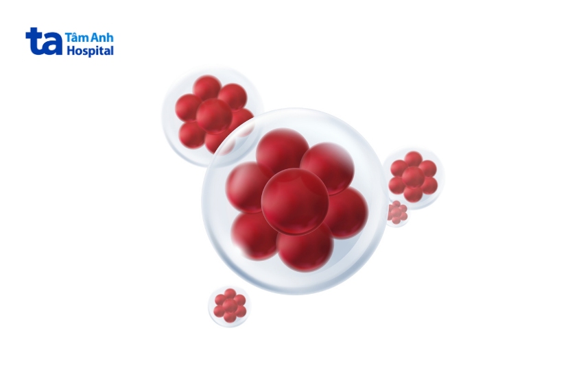 tế bào gốc có khả năng tự đổi mới