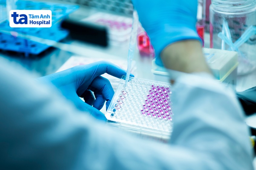 tế bào gốc đa năng giới hạn ít được nghiên cứu