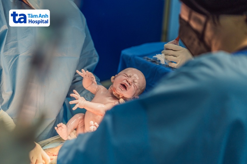 tế bào gốc nhau thai được lấy khi bé chào đời