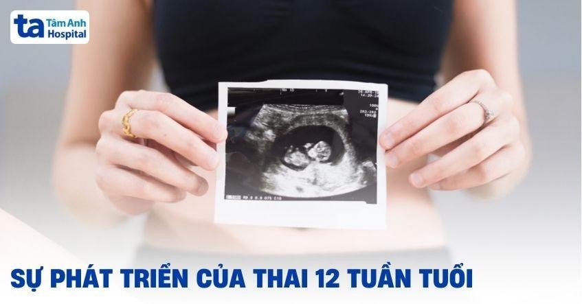 Thai 12 tuần tuổi phát triển như thế nào? Là mấy tháng rồi?