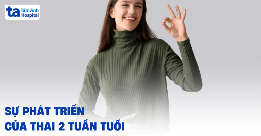 Mang thai 2 tuần: Thai nhi phát triển ra sao và dấu hiệu nhận biết