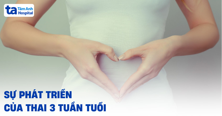 Sự phát triển của thai 3 tuần tuổi có dấu hiệu nào, kích thước ra sao?