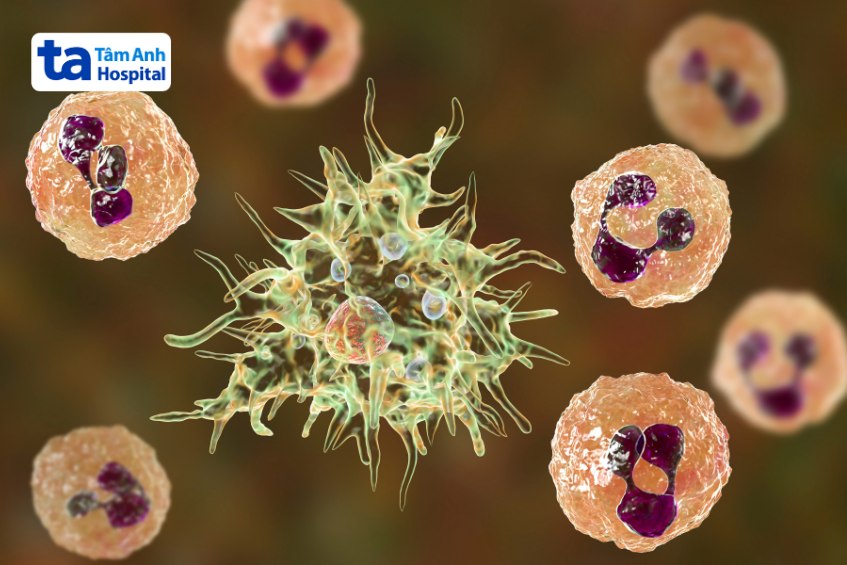 thành phần dịch não tủy