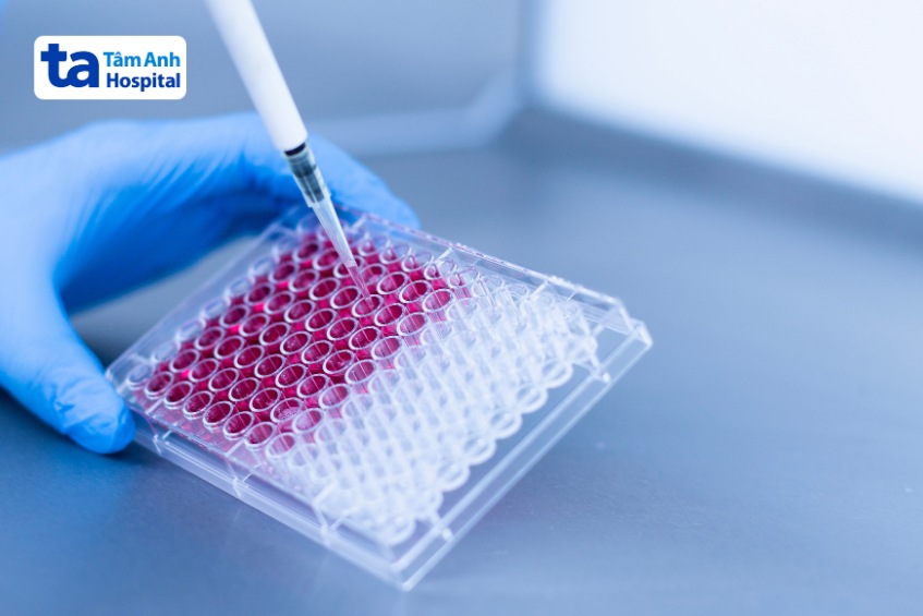 thu thập tế bào gốc đa năng giới hạn