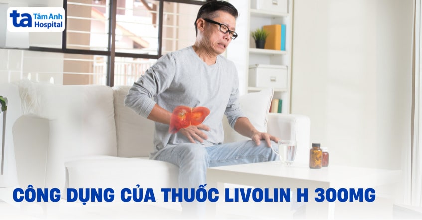 Thuốc Livolin H 300mg: Công dụng, liều dùng, giá bao nhiêu?