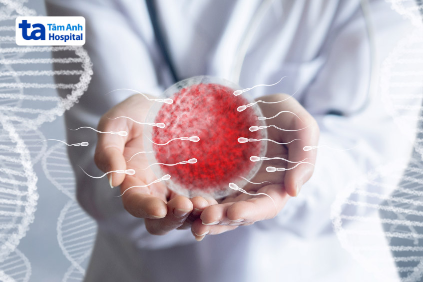 Tinh trùng khỏe mạnh có khả năng dị động nhanh