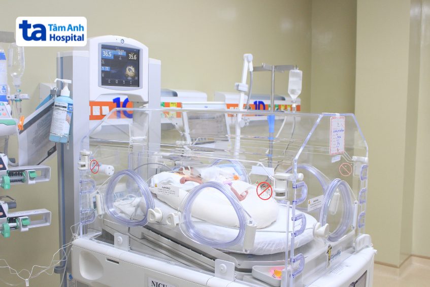 Trẻ sinh non được chăm sóc và theo dõi sức khỏe trong lồng ấp