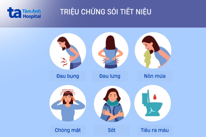 triệu chứng thường gặp ở người bệnh mắc sỏi tiết niệu