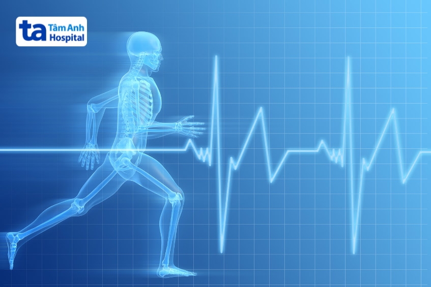 Vận động viên có trái tim khỏe hơn người bình thường do luyện tập thể thao thường xuyên hơn