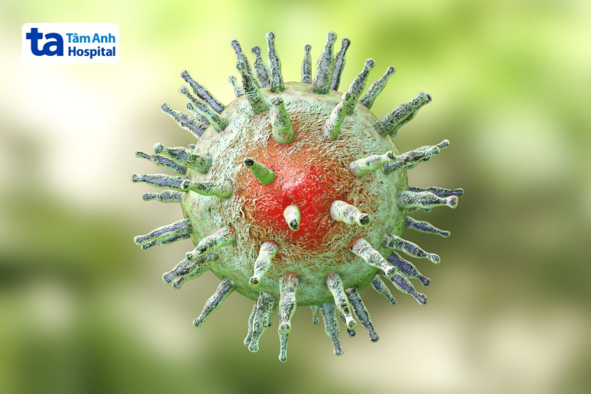 virus ebv lây truyền qua nước bọt