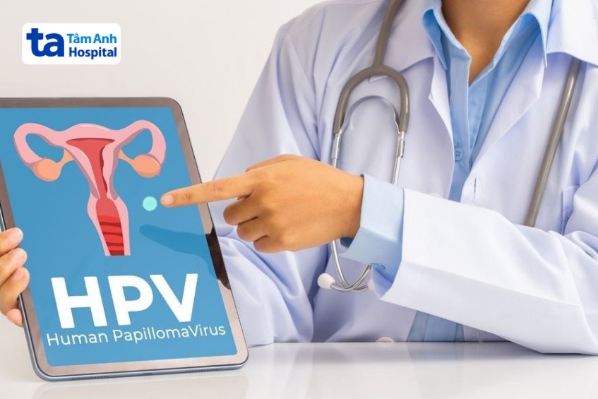 12 type hpv nguy cơ cao gây ung thư