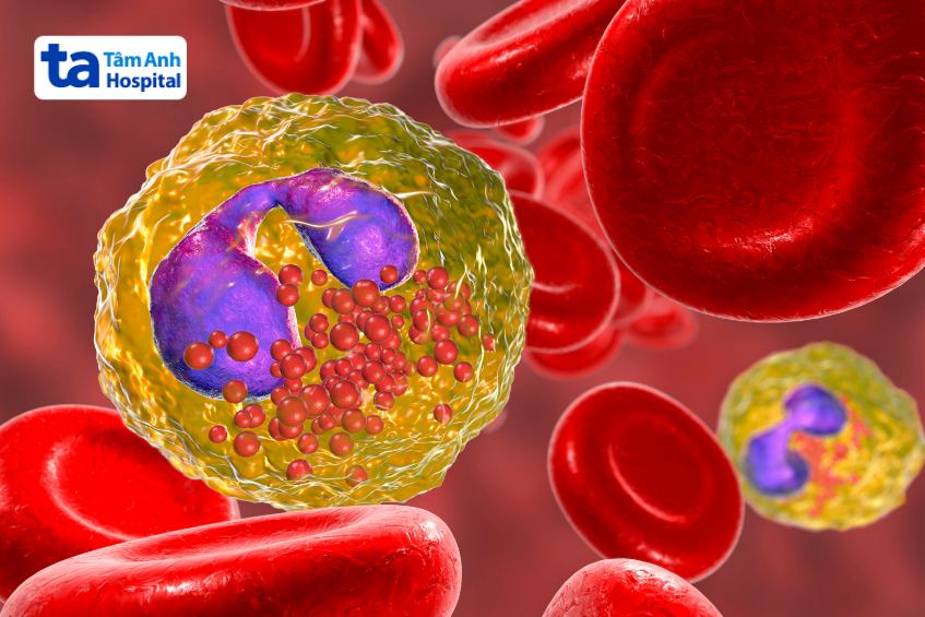 40-400 bạch cầu ái toan mỗi mm3