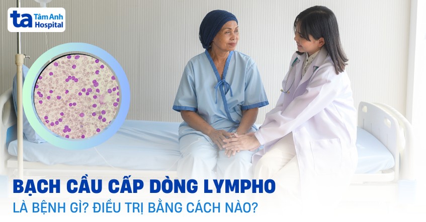 bạch cầu cấp dòng lympho