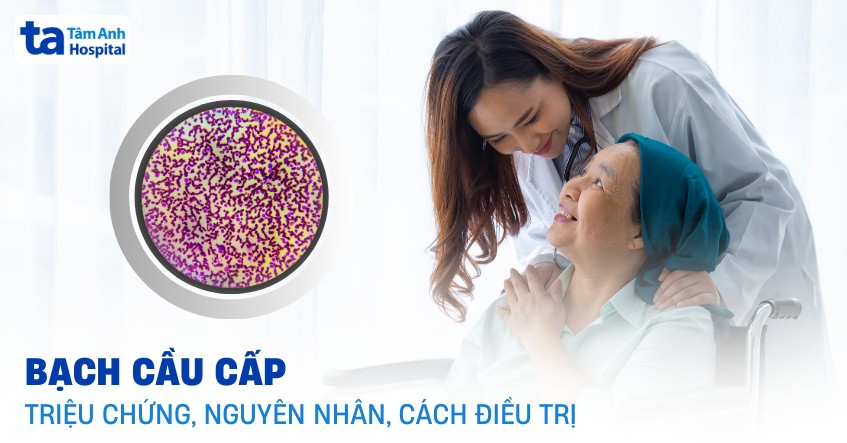 bạch cầu cấp