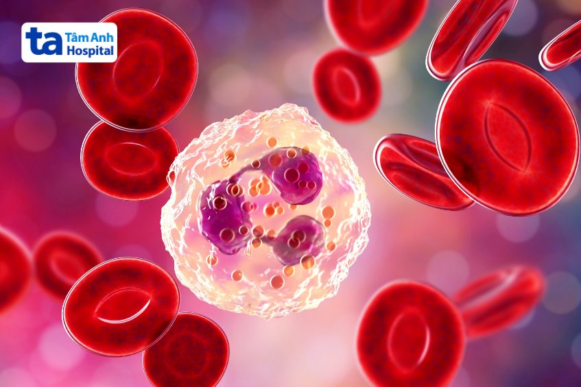 bạch cầu trung tính bảo vệ tế bào