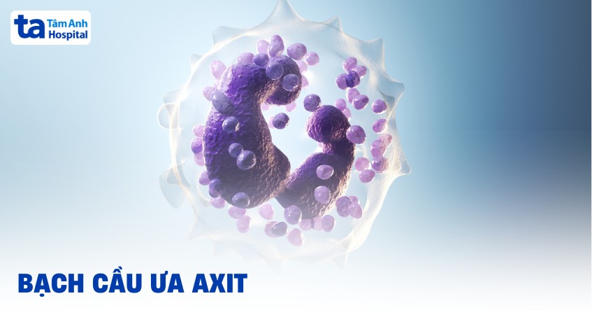 Bạch cầu ưa axit: Chức năng, thành phần, giải phẫu học và tình trạng