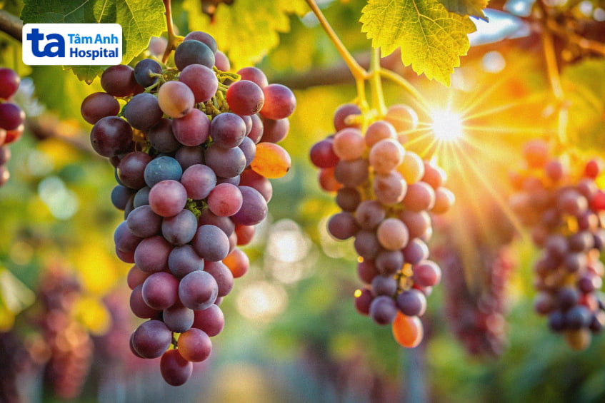 nhức đầu ăn trái cây gì, nho