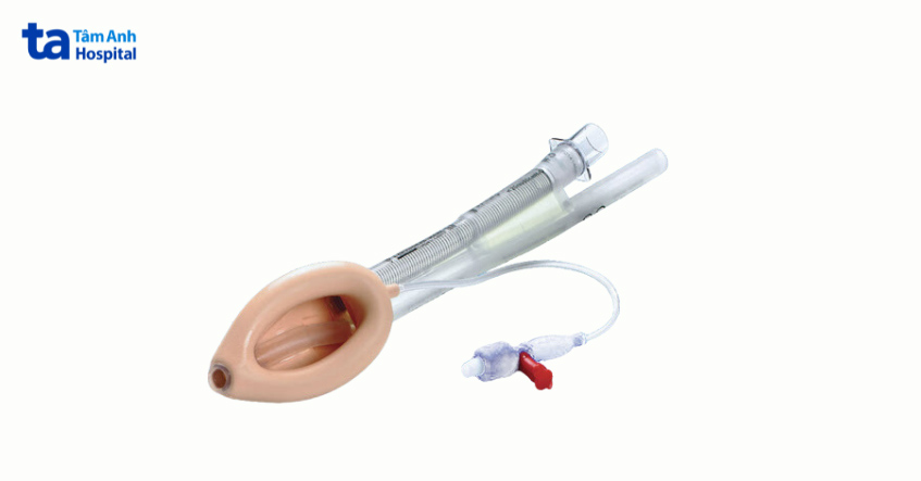 Bộ dụng cụ dùng trong gây mê mask thanh quản