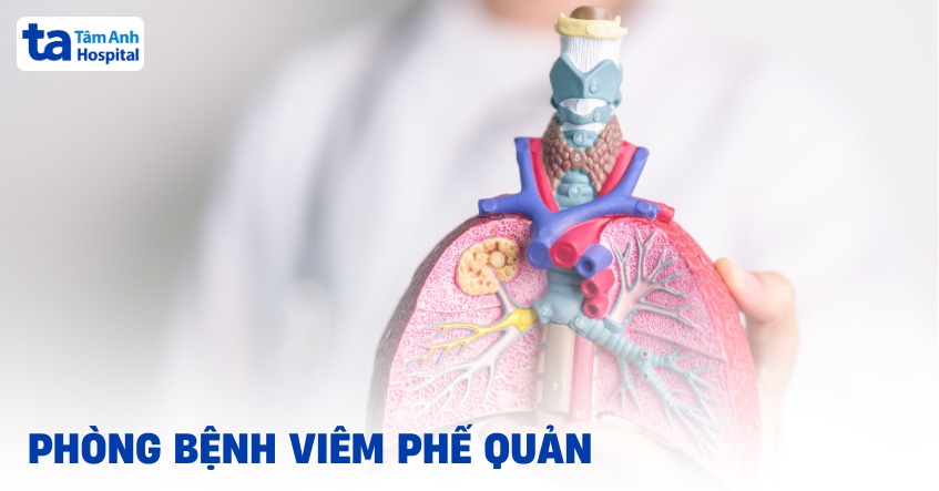 7 cách phòng bệnh viêm phế quản hiệu quả bạn nên tham khảo