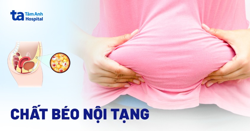 Chất béo nội tạng là gì? Nguyên nhân, cách nhận biết và phòng ngừa