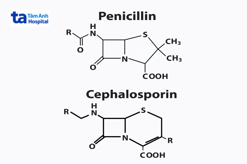 Chất kháng sinh Beta - lactam