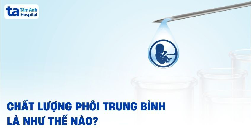 Chất lượng phôi trung bình là gì? Phát triển lên phôi nang được không?