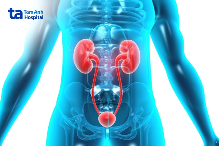 dấu hiệu ung thư đường tiết niệu