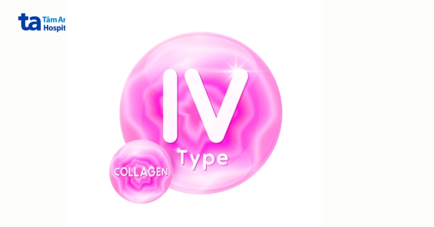 đột biến collagen type IV