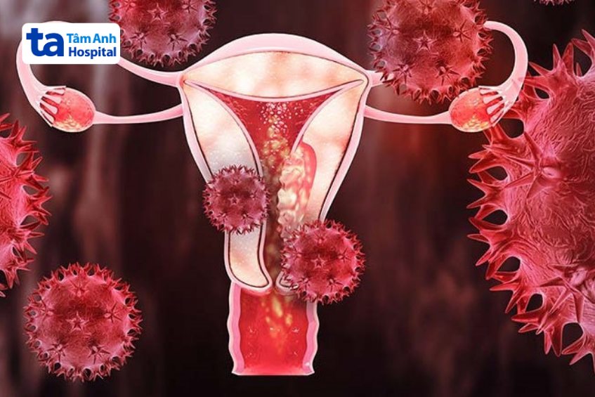 dương tính với 12 type hpv nguy cơ cao tiềm ẩn nguy hiểm