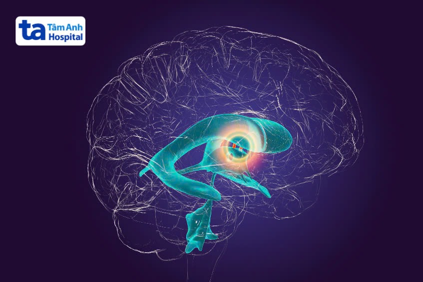 giải phẫu não thất