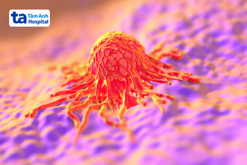 Transvestitlarning yalagan suratlari