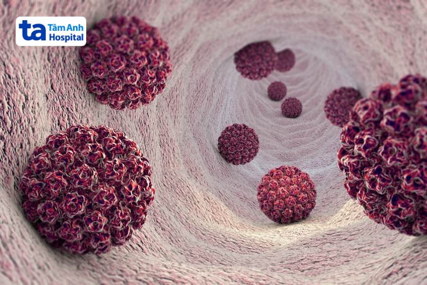 hpv type 18 và 16 là loại nguy cơ cao