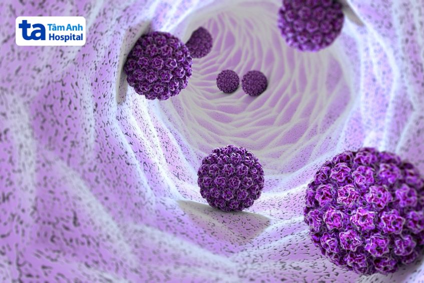 hpv type 31 thuộc nhóm nguy cơ cao