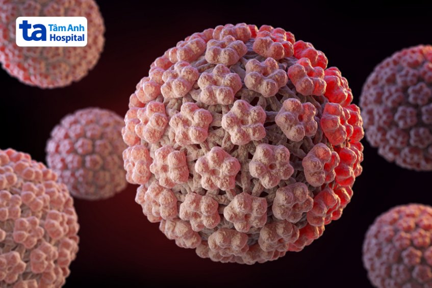 hpv type 35 nguy cơ gây ung thư cao