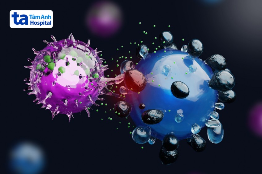 minh họa tế bào diệt tự nhiên