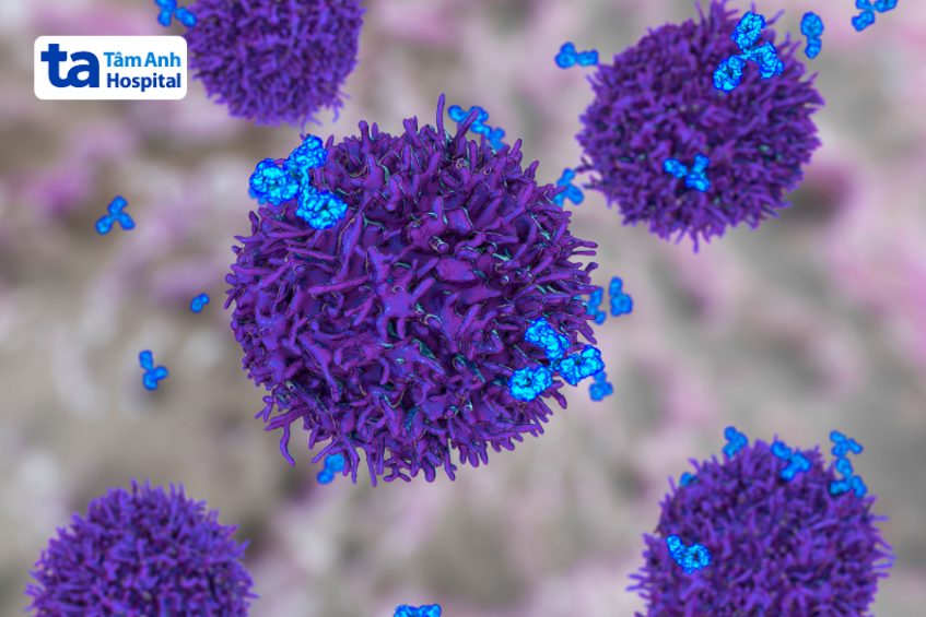 tế bào b chống tác nhân gây bệnh