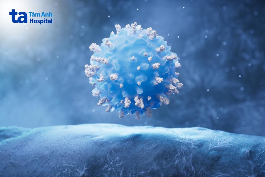 tế bào bạch cầu lympho của hệ miễn dịch